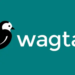 Wagtail CMS: Der Game Changer in der Webseitenentwicklung